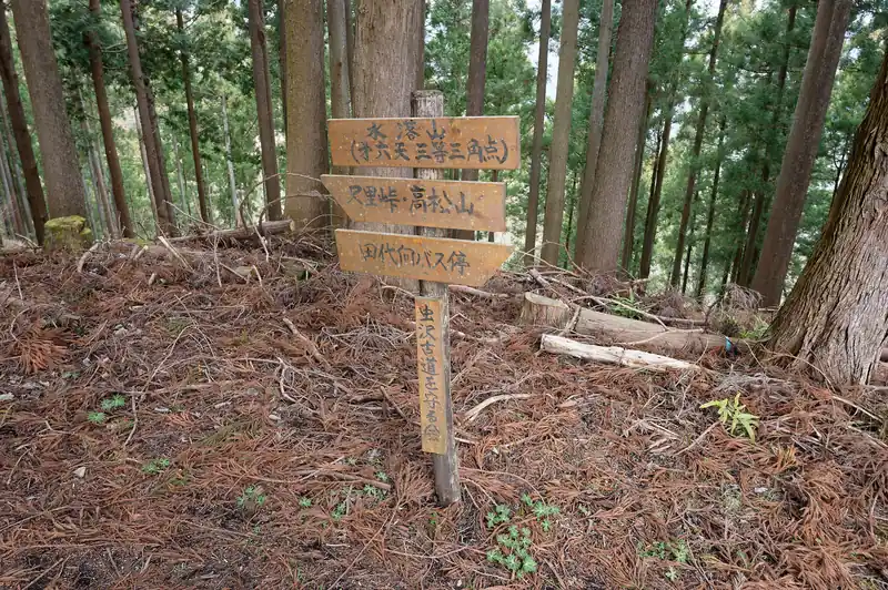 第六天の山頂へ。

あのままなんとなく歩いて行ったんですが、ゲートで進めなくなったので、適当に斜面を歩いて出てきました。