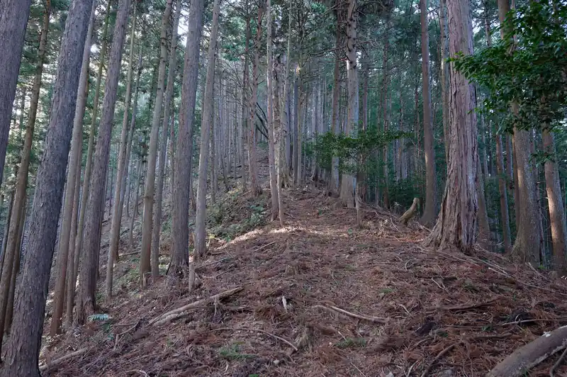 尾根を登っていきます。
斜度あがってきました。