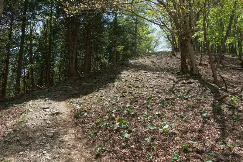 少し登りの道になった後、六ッ石山への分岐。
折角なので六ッ石山も寄っていくことにする。