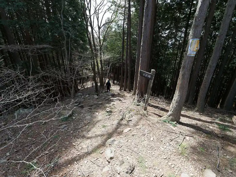 再び権次入峠まで戻ってきて、ここから黒山方面へ歩いていく。