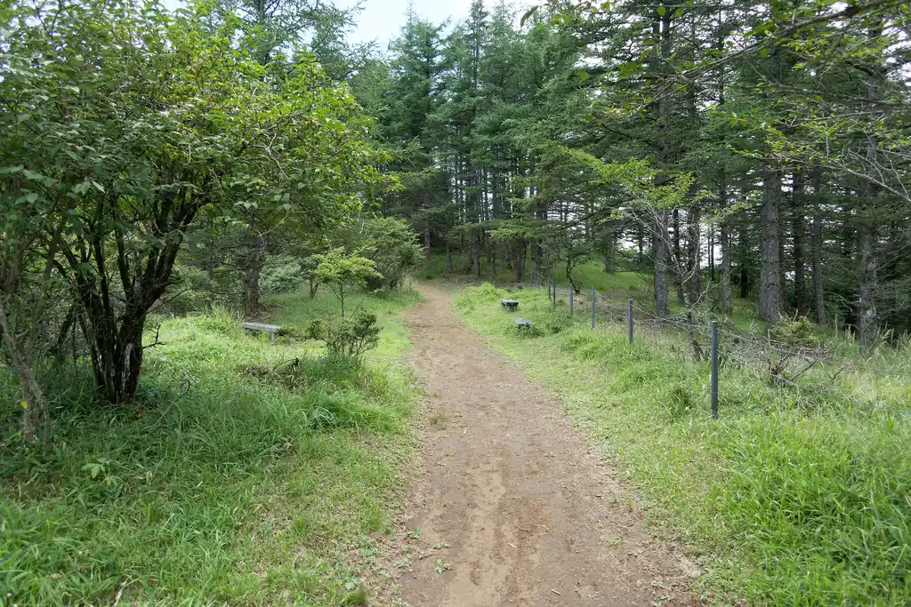 木無山に向かう道。非常に歩きやすい。