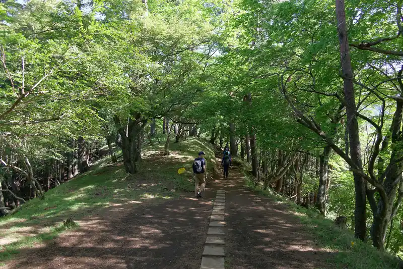 この日はなかなか暑い日でしたが、大倉尾根上にヤマビルの姿はなし。ヤマビルは落ち葉の下なんかに潜む、と言われていますが、大倉尾根の登山道上は落ち葉が堆積している箇所もなく、さらに、最近は雨がそれほど降っておらず地面も乾燥していたため、ヤマビルの危険性は薄かったと思われます。