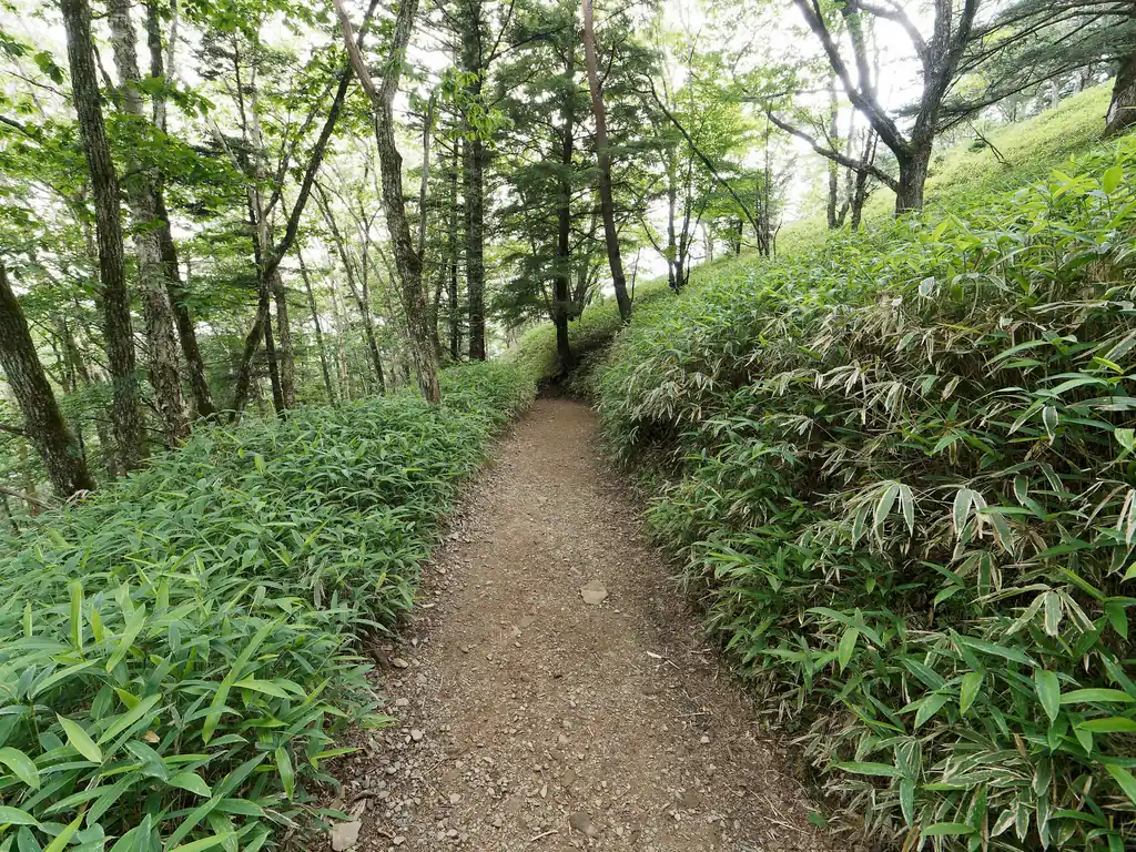 帰りの道は極めて歩きやすい道です。高速道路というか、もはや滑走路と言っていい。14時発のバスに間に合うかな～トイレも行きたいんだよな～と思っていたんですが、余裕でした。