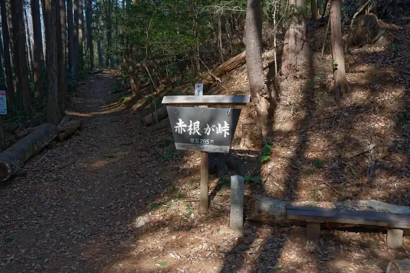 途中で秋葉山の手前に合流、そのまま赤根が峠まで歩いてきました。
赤根が峠～秋葉山間は普通の登山道です。柏木山に登るついでに秋葉山のピークハントをする人が一定数いて、道はくっきり明瞭に踏みならされています。