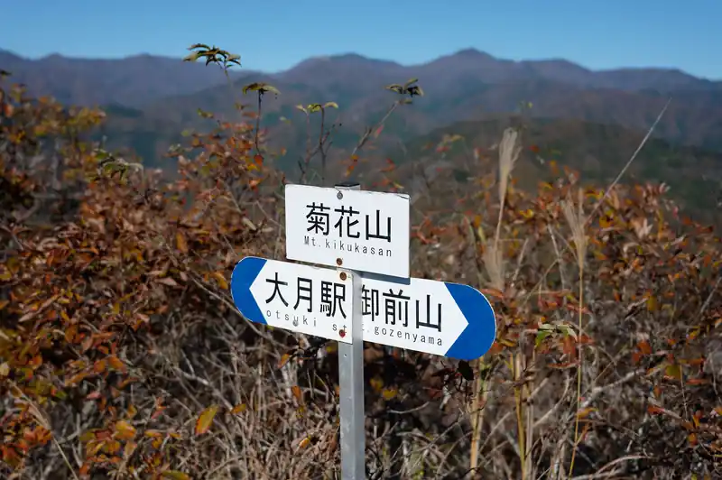 菊花山山頂に到着。