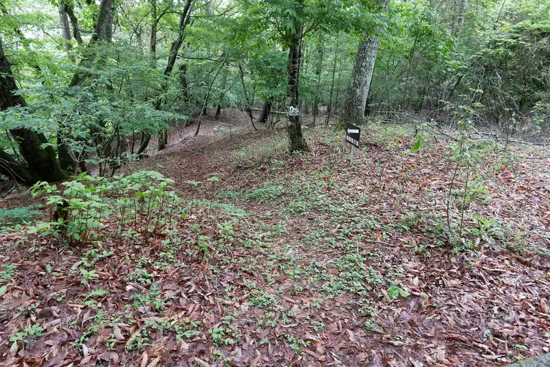 向かいが嵯峨塩温泉に降りる道のようです。