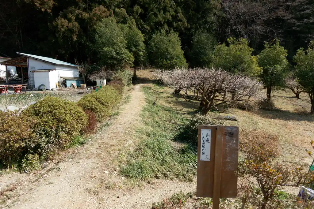大高取山の登山口。ここからもっと南に行くと、梅の駅という越生の特産物、農産物を販売している場所があるのですが、その裏からも登れます。この写真の登山口から登ると途中そこと合流する箇所がある。

私はここから登るのは初めてだけど、3/4くらいの道は既に歩いたことがあるので雰囲気は把握済み。