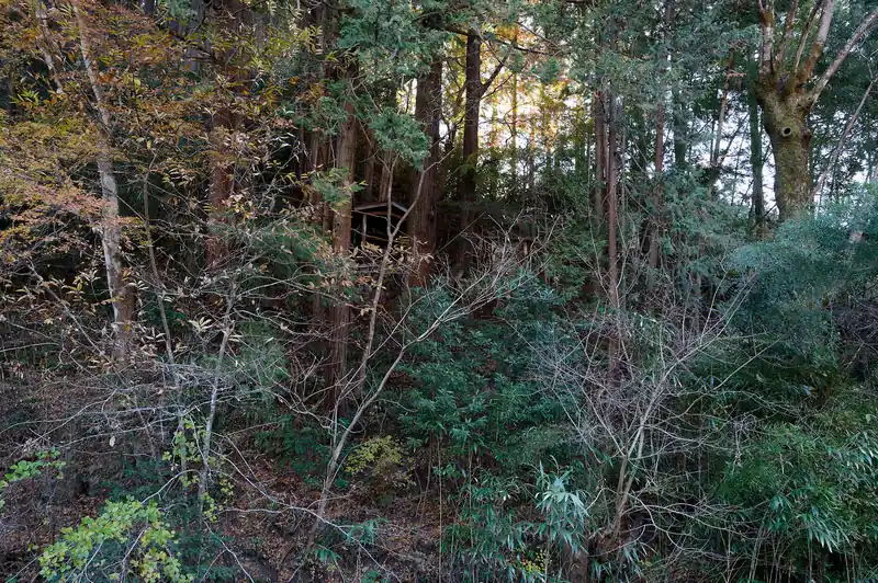 向かいの斜面には木造の祠が見える。が、写真だとわかりづらいですね。
柏木尾根よりずっと人気のある北川尾根は、このあたりの秋葉神社横から入るようだが…。北川尾根もそのうち歩きたいところだ。