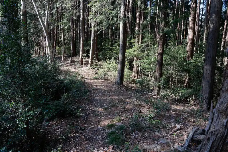 なかなか良い道だ。