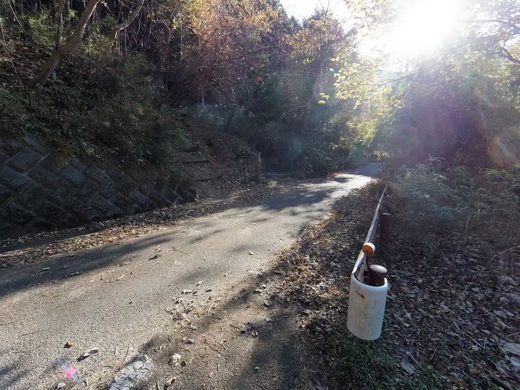 登山口からしばらく歩くと早速林道に出る。ここで向かいの登山道へ。