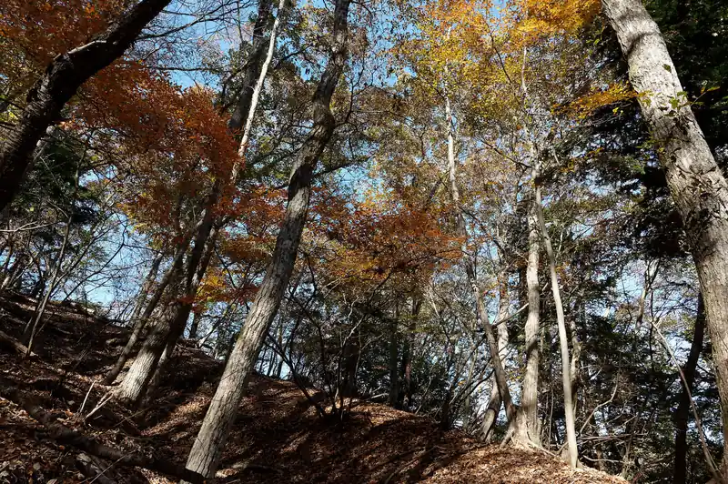 札金峠から登り返します。
