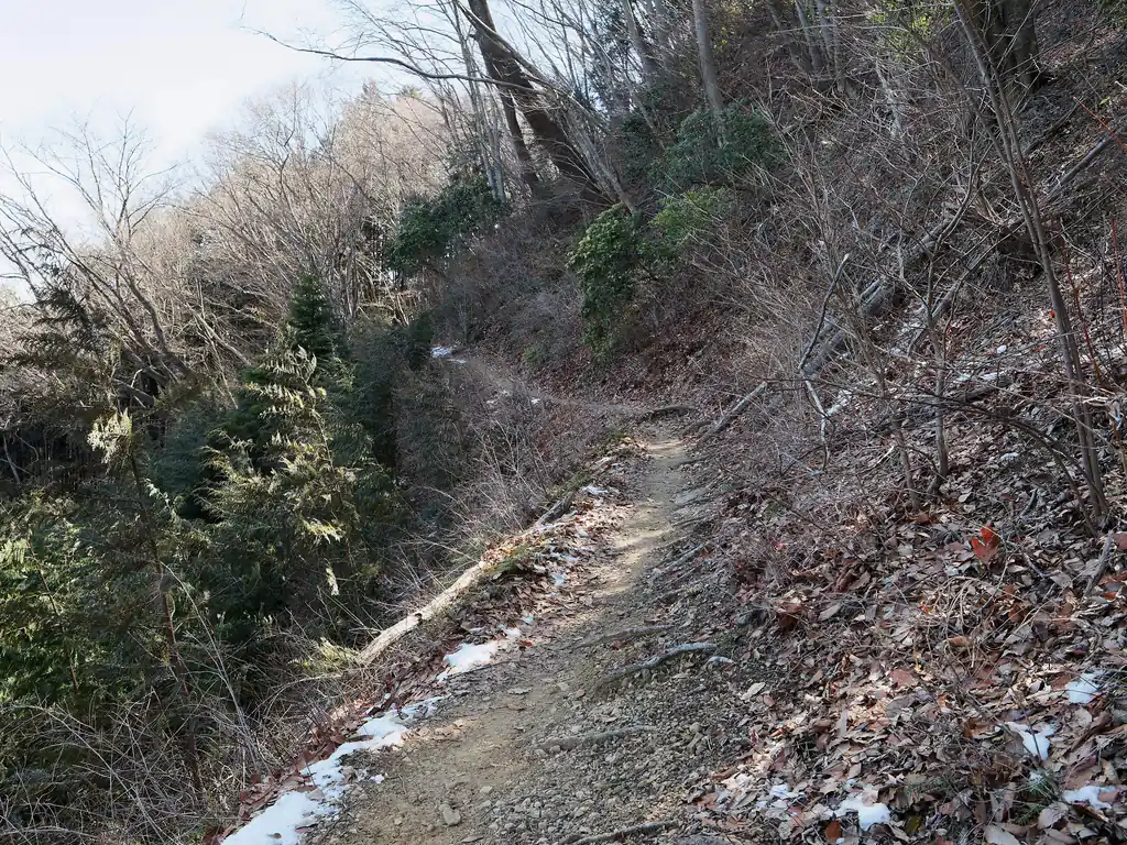 日の出山まで続く金毘羅尾根も以前歩いたことがある。全体的に歩きやすい道が続くのだが、数か所細い道があって、中でもここは、歩くたびに少し緊張する。