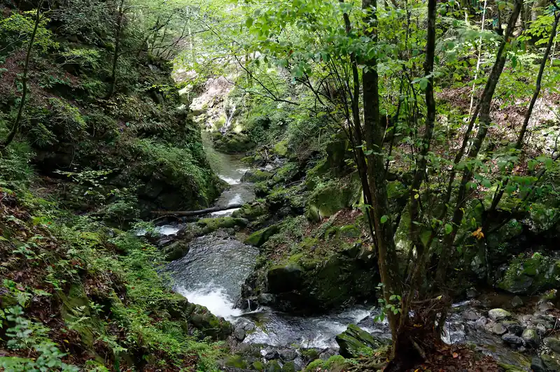 沢の景色は素晴らしい。