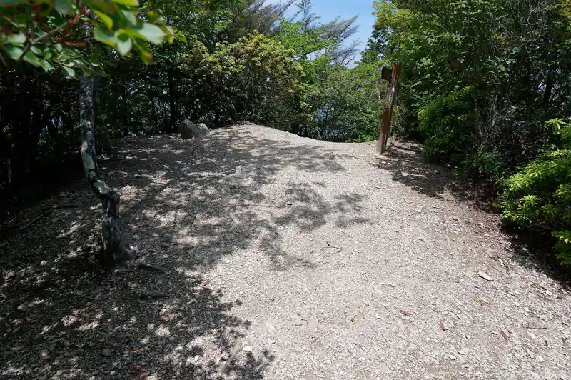 そんなこんなで子持山に到着。
大持山に比べて明るく、平坦で幾分か過ごしやすい。
ただここもハエが多く鬱陶しい。