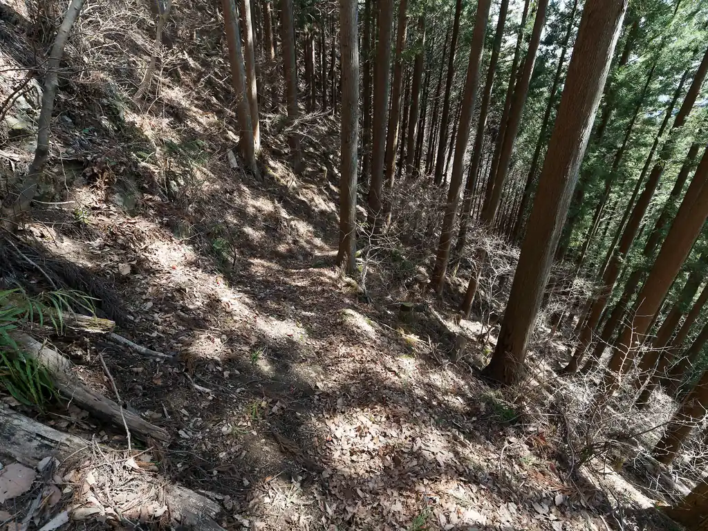 この下山路は思いの外よく整備されていてかなり歩きやすい。上部は九十九折の道となっており…