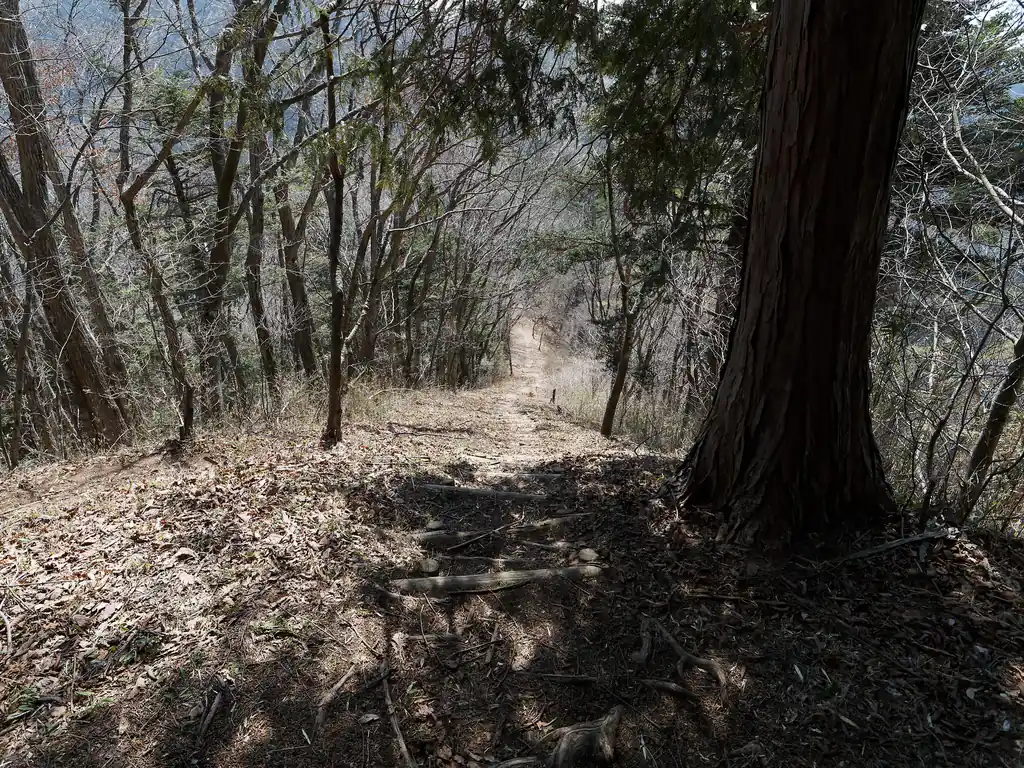 軍刀利山からまたまた急降下する。
微妙にわかりにくいが、ここは階段状になっている。