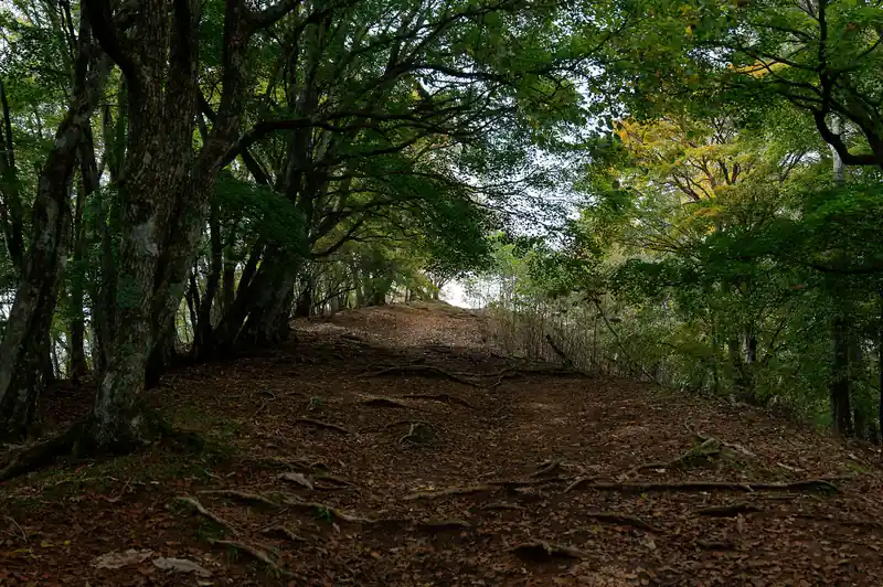 最後のちょっとした登りを終えると広い尾根道が山頂まで続いている。