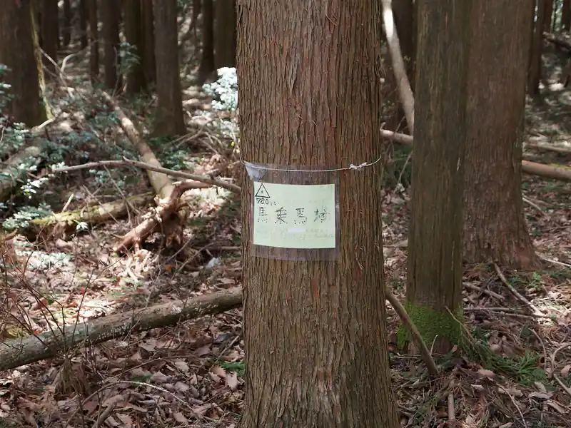 道なりに歩いて馬乗馬場。