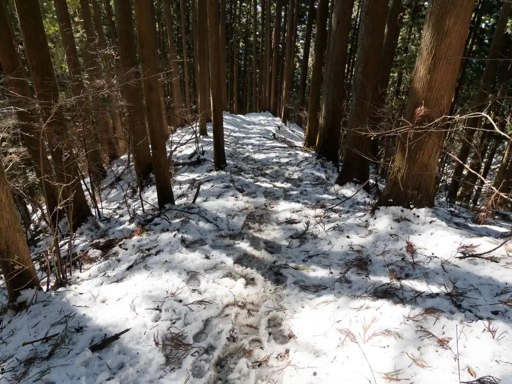 標高が下がると徐々に雪が解けてきてベチャベチャ。軽アイゼンなしでもよいけど、ないとちょっと怖いのでつけたまま。
