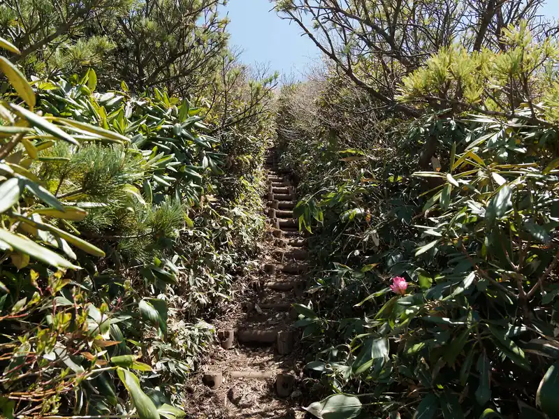 草木に囲まれた狭い階段を登り…