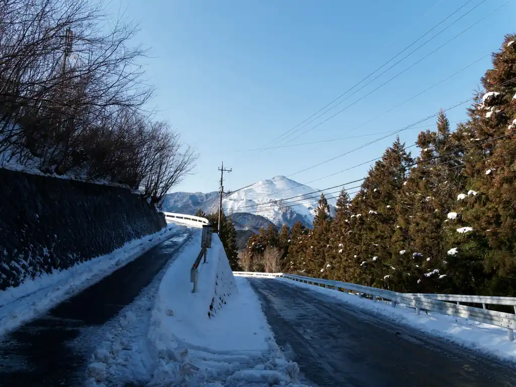 今日は木の子茶屋前ではなく、犬がいる登山口から。