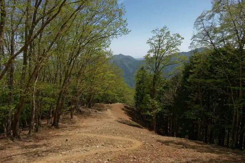 広い尾根道。
石尾根はこんな感じの道がずっと続くイメージだったのだが、歩いてみると意外と尾根を外れて歩くところもあり、面食らう。