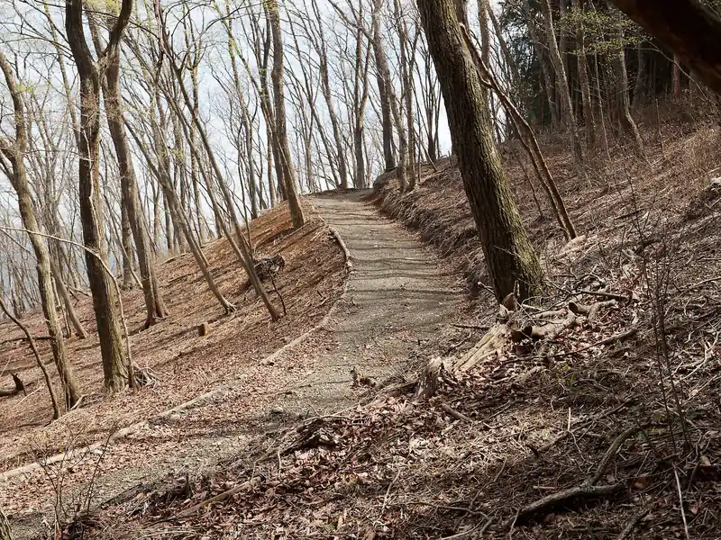 途中明らかに整備された道が登場するも何なのかは謎。
遊歩道でも作る計画があるんだろうか？林業の作業道にしては異様にキレイな気がする。