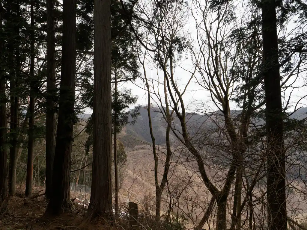 樹間から岩茸石山が見えます。