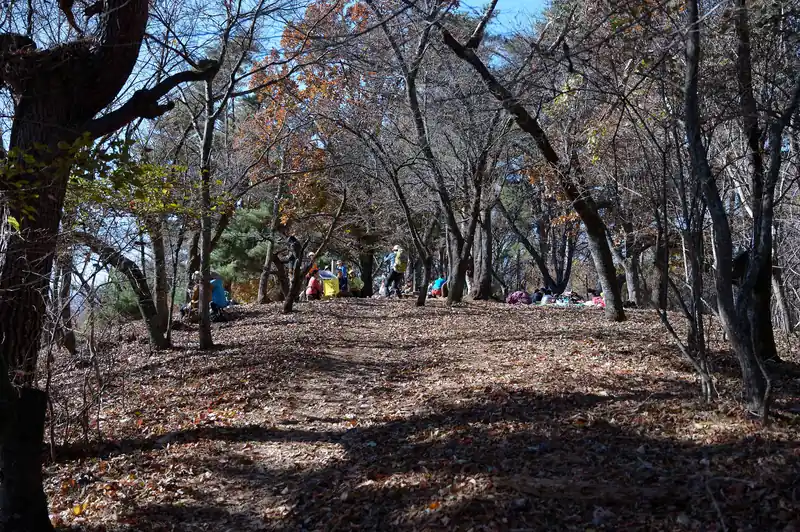 やはり百蔵山は人気ですな。
山頂は大勢の登山者でいっぱいです。