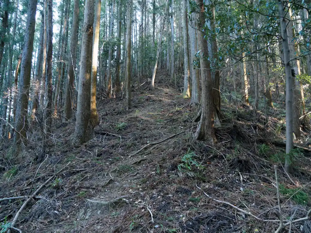 一度標高を落としてまた登り。