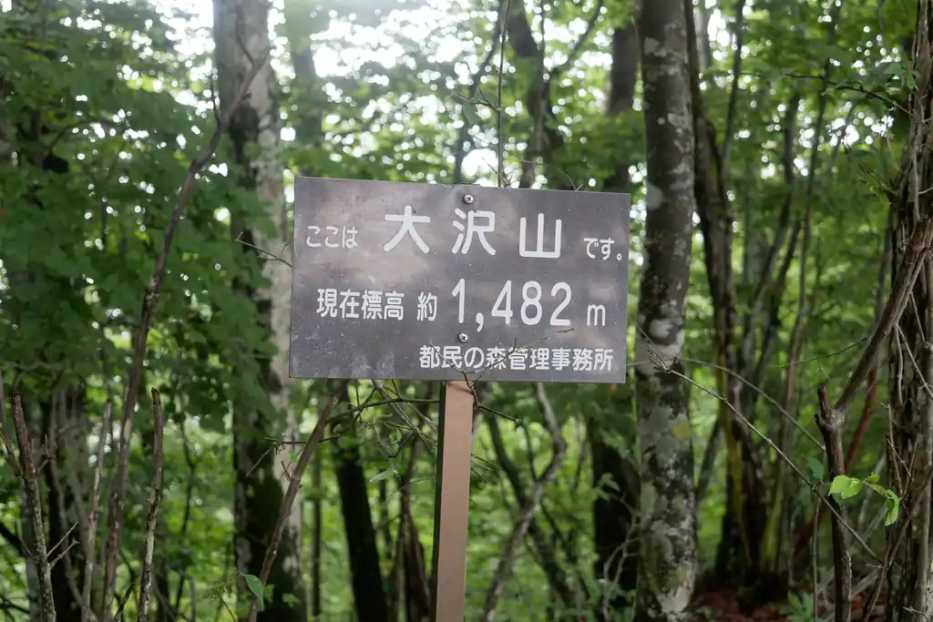  少し歩くと次のチェックポイントの大沢山に到着。ここはベンチもあって見晴らし良さそうな雰囲気を出していますが… 