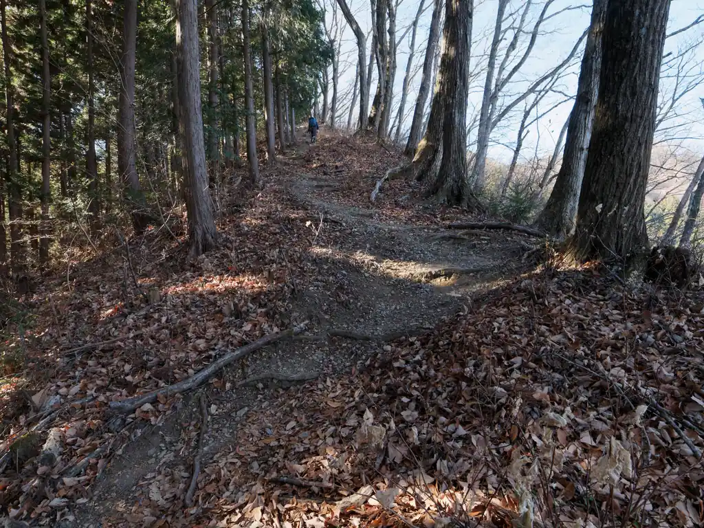 振り返って撮影。
少しザレているのだが、まあ転ばないだろうと油断して歩いていたら見事に滑った。尻もちはつかなかったけど、ヒヤヒヤだ。