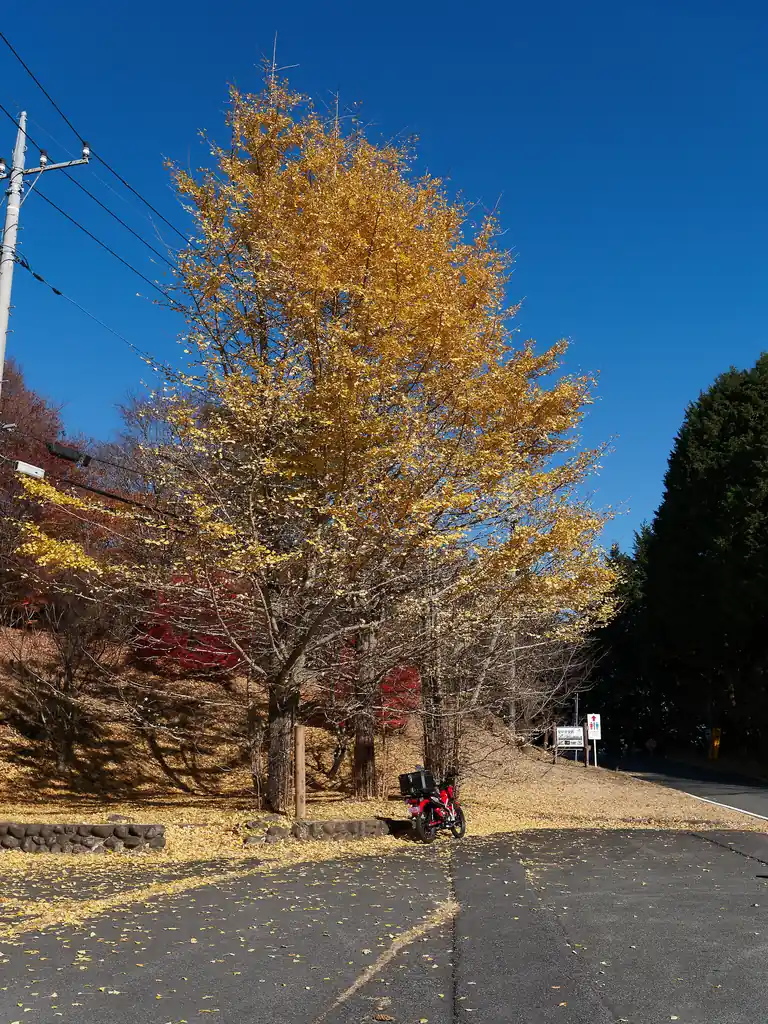 白石峠からは剣ヶ峰の登山道を歩いてもいいけど、あっちには急な登りと下りがある。荷物も重いし、このまま舗装路を歩いて堂平山まで向かった。