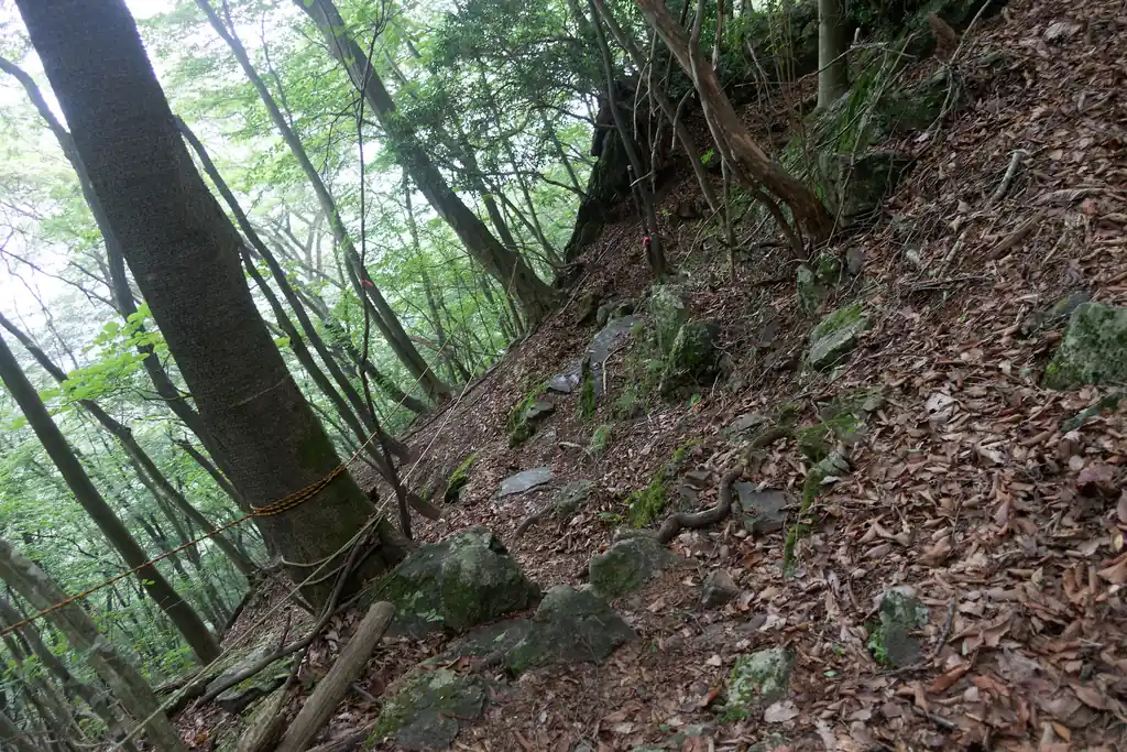 振り返るとこんな感じ。なかなか緊張感ある。ロープがあるのがありがたいですね。