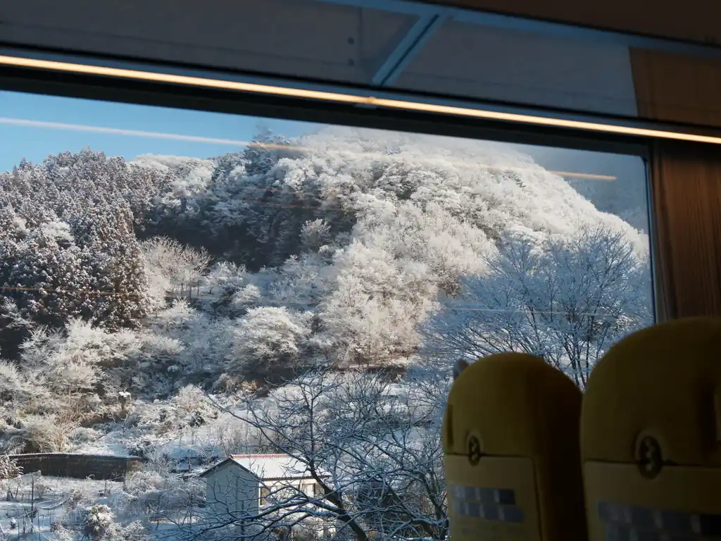 こっちは横瀬丸山方面。
白くなっていて美しい。こんな風になってるなら横瀬丸山登ればよかった！と少し後悔したものの、今更予定を変えるわけにもいかないので、このまま西武秩父駅まで。