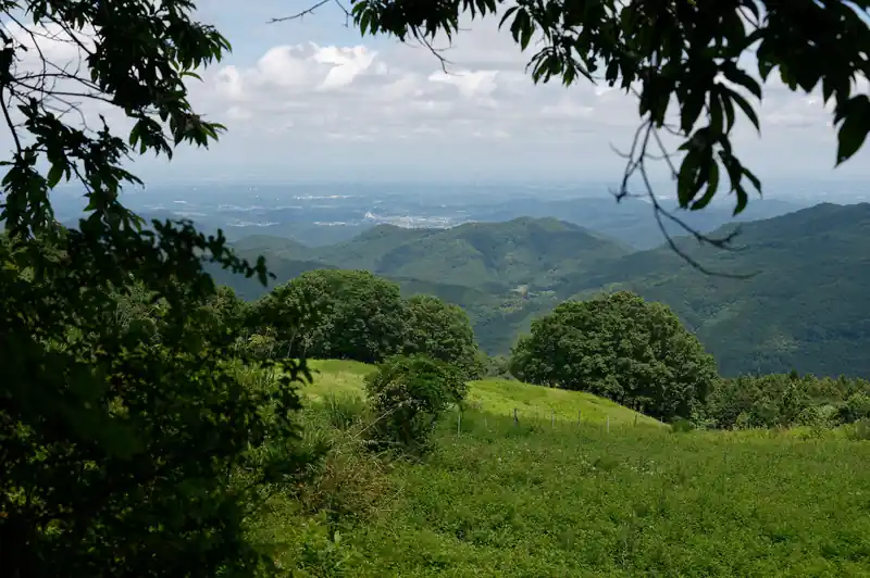 旧定峰峠から牧場脇を通って大霧山へ。
牧場の敷地は牛のための牧草地になっているようで木がなく、見晴らしが良い。気持ちの良い登山道が続く。