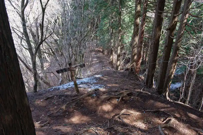 こっちは北側の尾根に通じる道。
当初、こっちを通ろうと思っていたのだが、金時山まで行くことを考えると時間的に厳しいかも、と思って歩きやすそうな21世紀ルートにした経緯があります。
そのうちまた歩きに来ようかと思います。