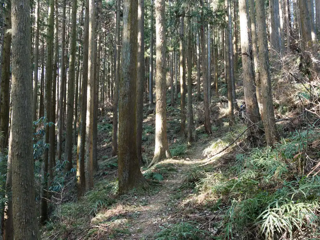 天気が良いと陽の光が差し込んで気持ちがいいですねえ。