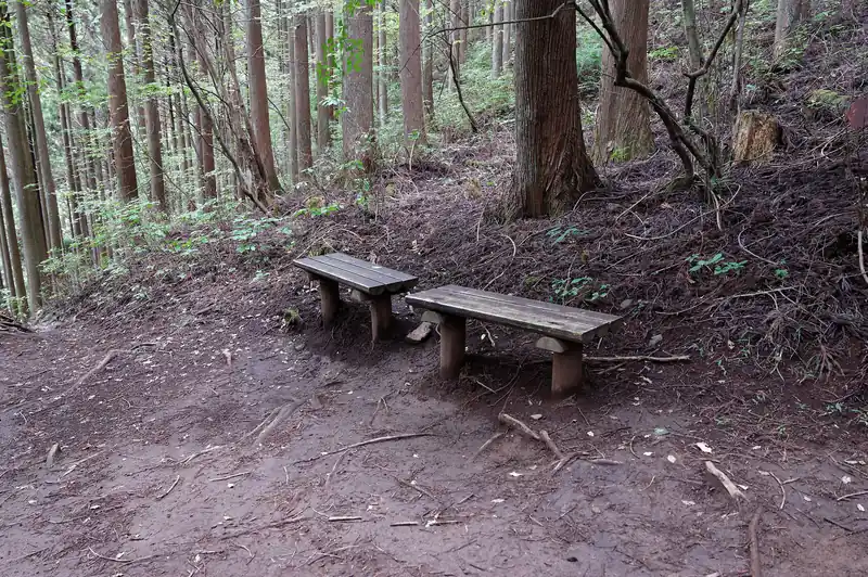 途中ベンチを見つつ、ひたすら下っていく。
ほとんど登りはないが、かなり緩やかな下り道となっており、距離が長いため時間がかかる。