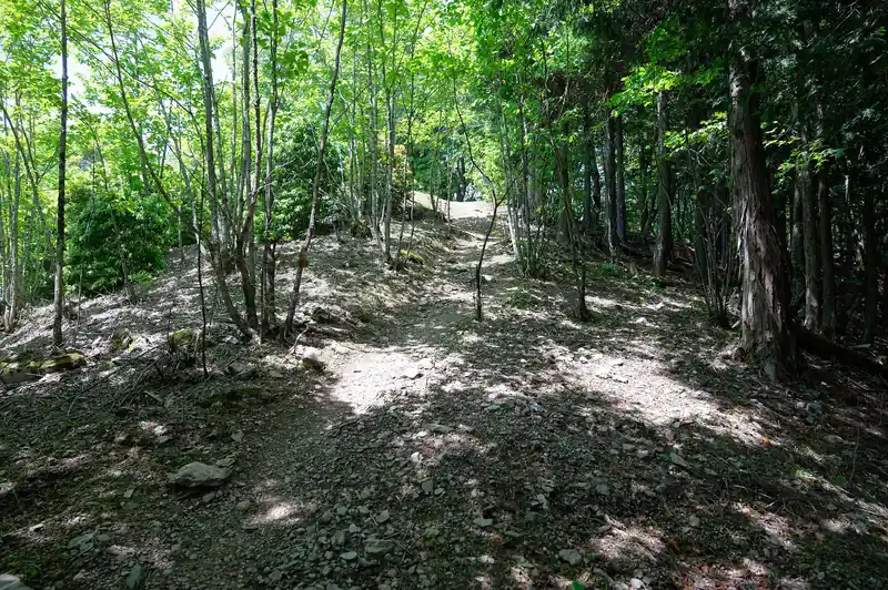 ようやく登りきったようです。目の前が明るくなってきました。