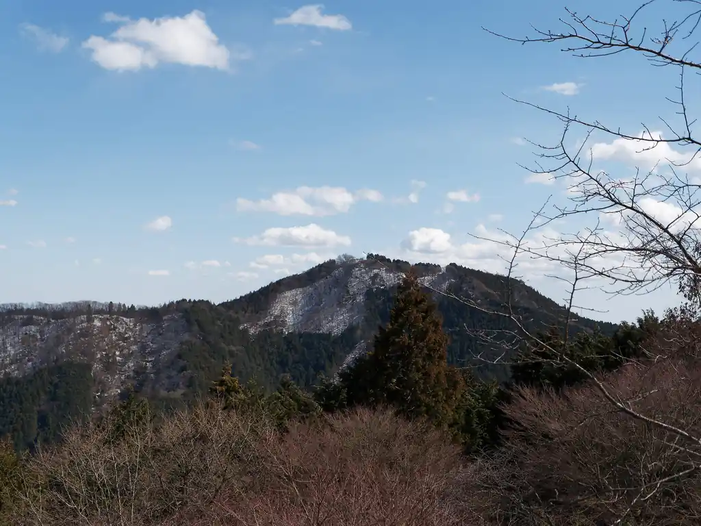 改札までちょっとだけ時間がありそうだったので、展望台から写真を撮る。
こちらは日の出山。