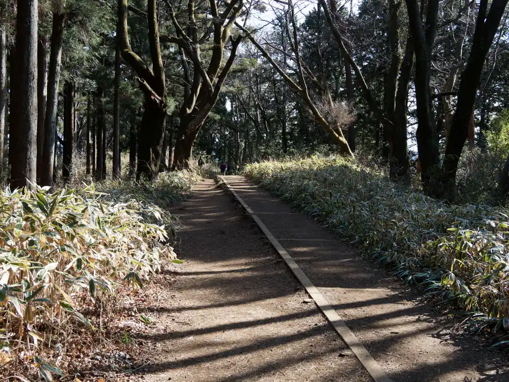 もうこの辺りまで来ると山道というより遊歩道です。