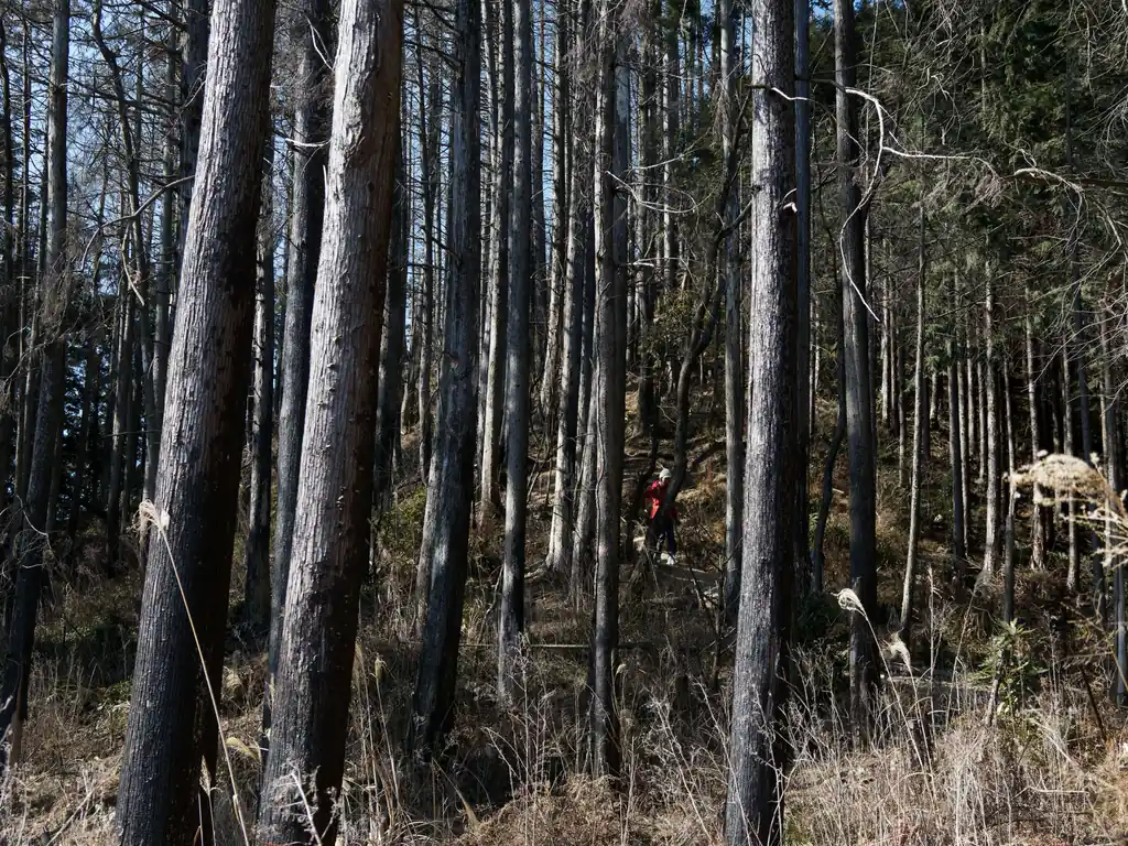 振り返って登山者が降りてきています。