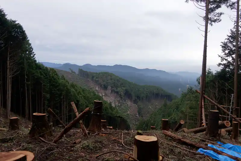 このあたりは伐採地をよく見ますね。
そしていつものように林業の道具がそのまま放置されている。