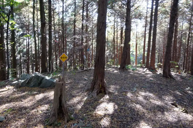 山頂に到着。
そこそこ広い平らな山頂ですが、木に囲まれていて眺めなし。
ベンチなどもありません。