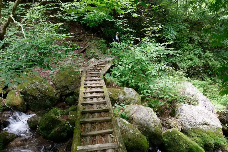 途中橋を渡っていきます。
沢沿いは涼しくて気持ちが良い。