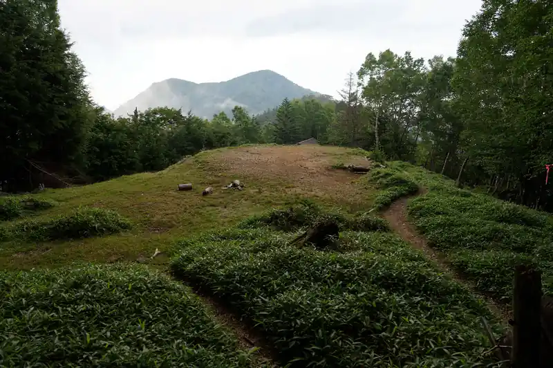 奥の方に歩いてきました。

奥に見える2つの峰がたぶん、白岩山とか芋木ドッケと思われます。