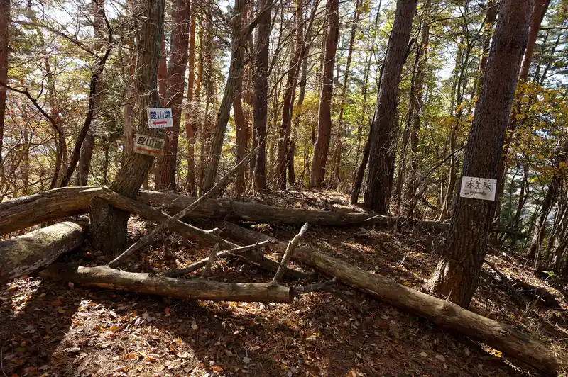 混雑する道標。たぶん、まっすぐ進んで道迷いする登山者多かったんだろうな。