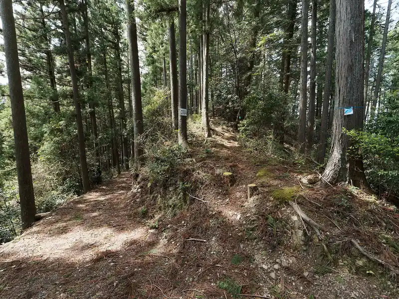 左側のブルドーザー道から出てきて、やはり登山道と合流。
右側に登山道らしき踏み跡があるので、やはりあの急坂は登山道だった模様。