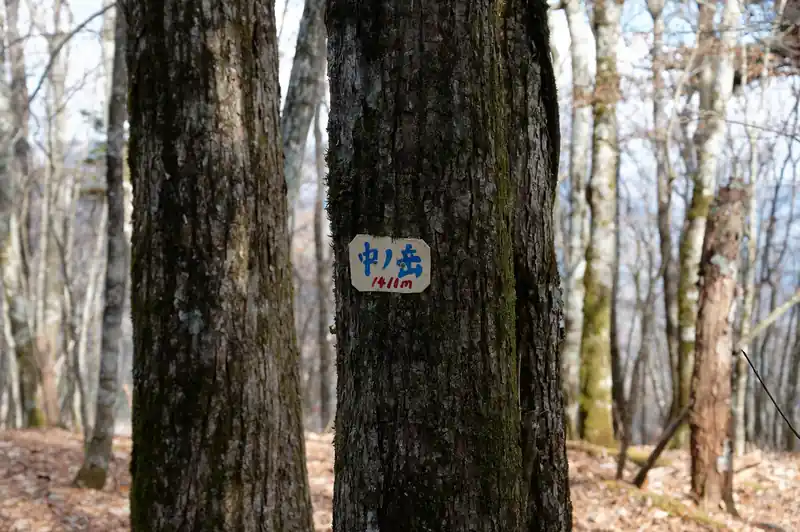 少し離れたところに別の山頂標もありました。